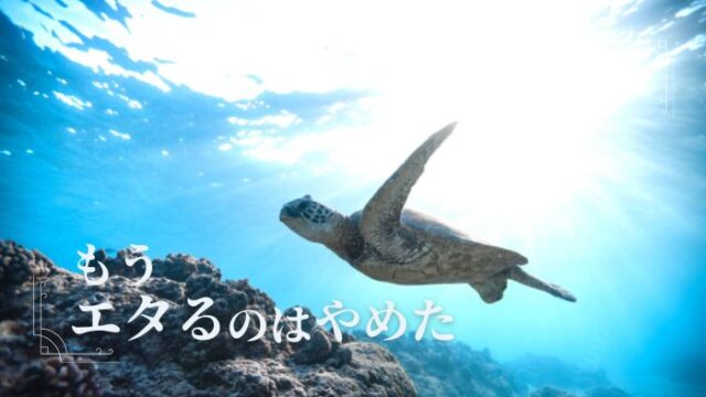 もうエタるのはやめた!について